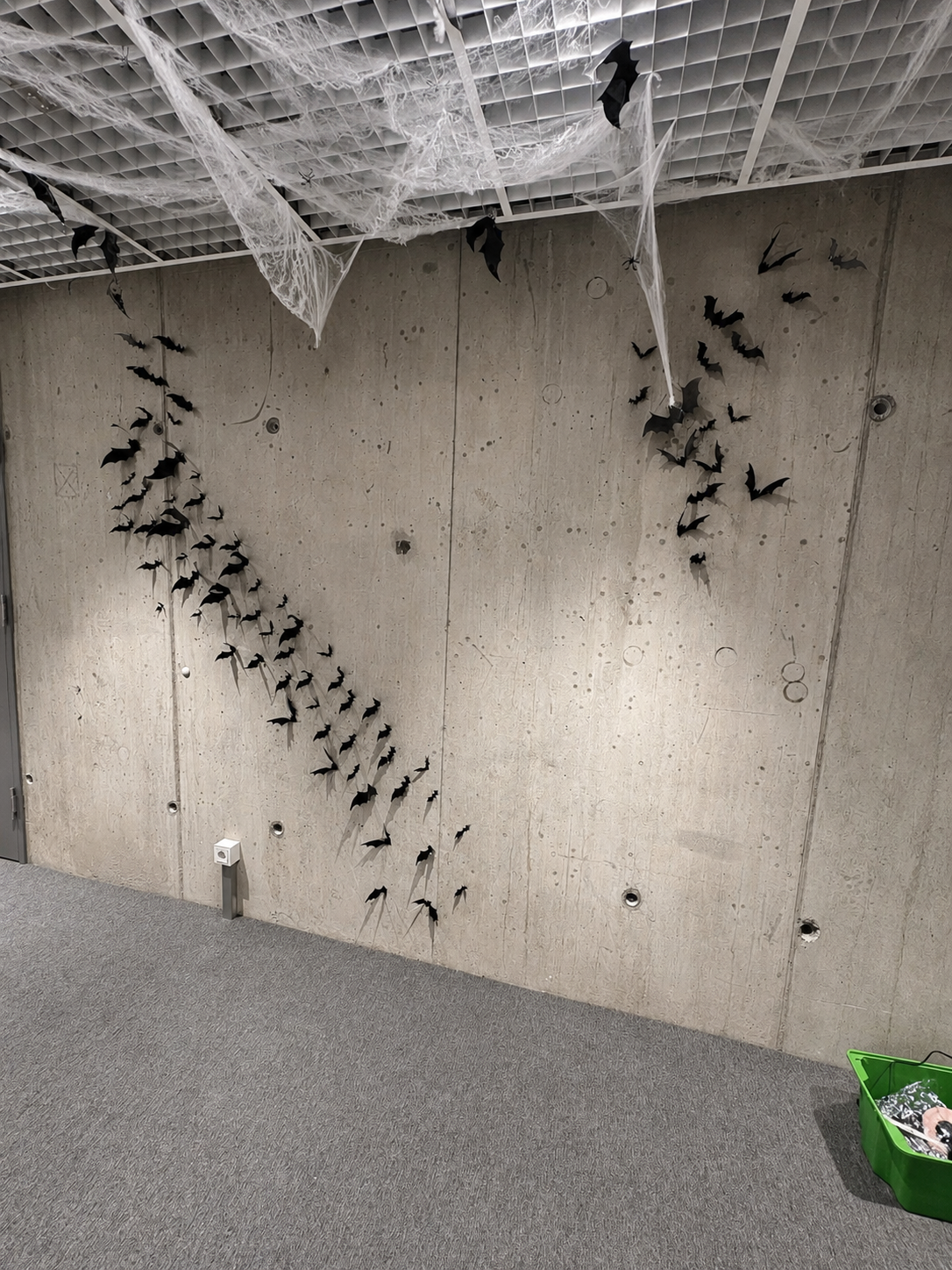 Schwarm von 3D-Fledermaus-Silhouetten an einer Betonwand im Büro