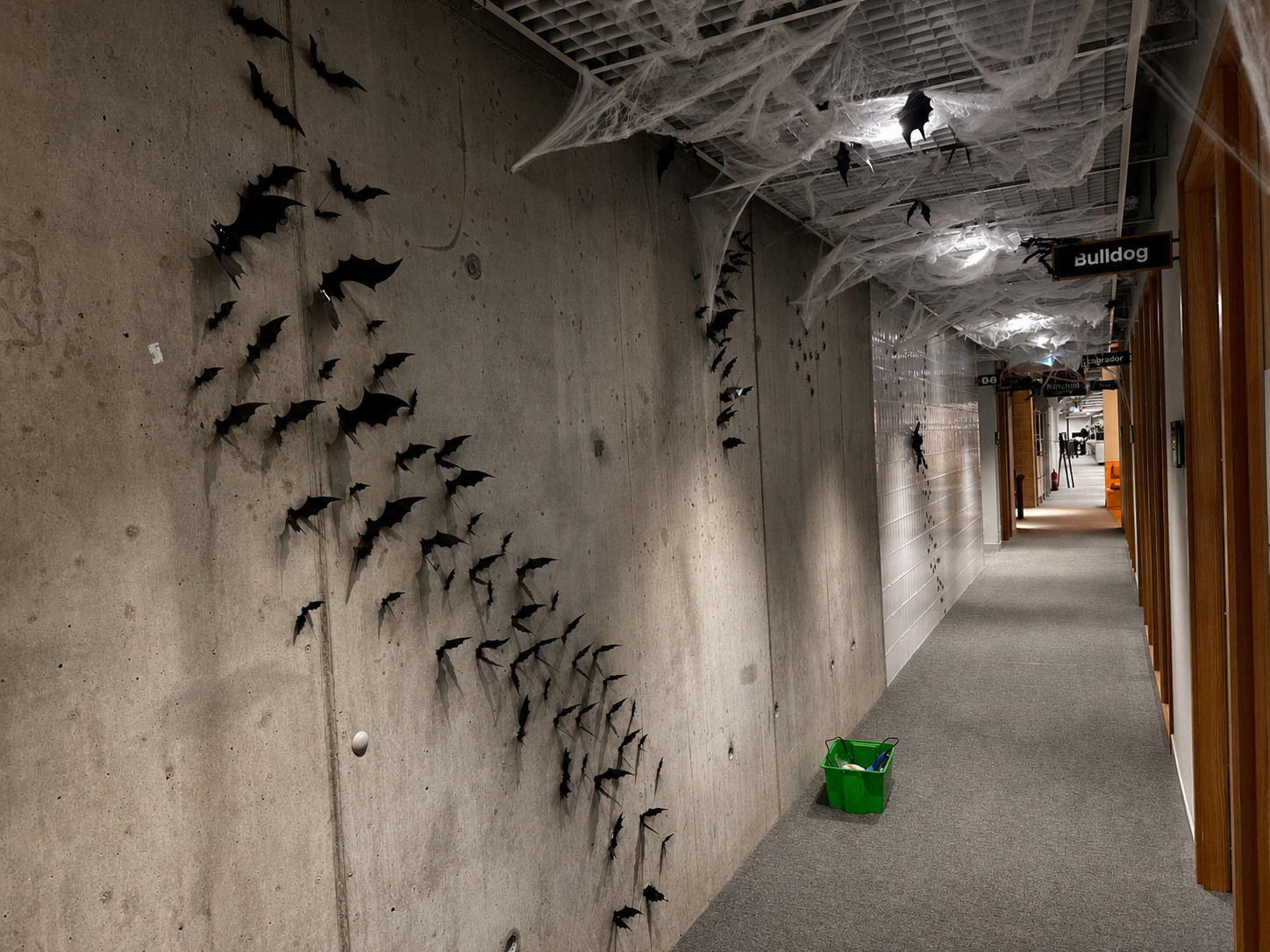 Weitwinkelansicht der Fledermaus-Silhouetten-Wandinstallation entlang des Bürokorridors